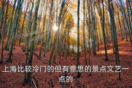 上海比較冷門的但有意思的景點文藝一點的