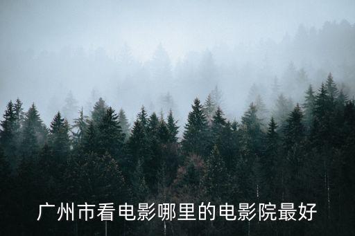 廣州市皮影劇場，廣州市看電影哪里的電影院最好