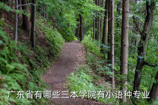 廣州本科小語種的大學(xué)，廣東3a學(xué)校有哪些有小語種專業(yè)
