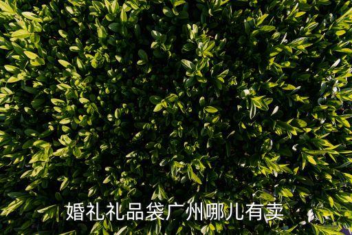 婚禮禮品袋廣州哪兒有賣