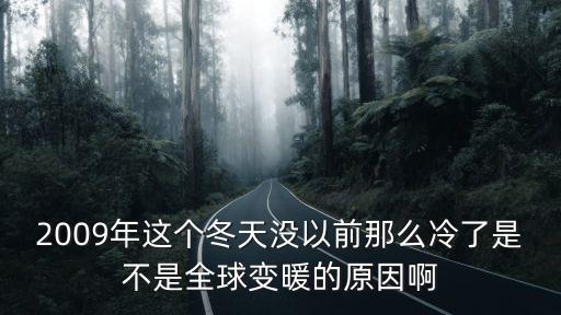 2009年這個(gè)冬天沒以前那么冷了是不是全球變暖的原因啊