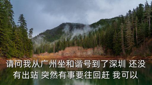 請問我從廣州坐和諧號到了深圳 還沒有出站 突然有事要往回趕 我可以