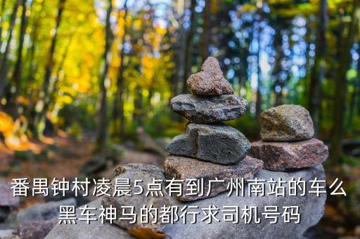 番禺鐘村夜間去廣州南站公交車，番禺鐘村做什么車去廣州南站