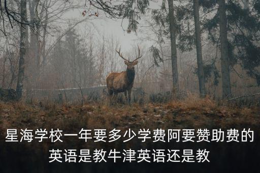 星海學校一年要多少學費阿要贊助費的英語是教牛津英語還是教