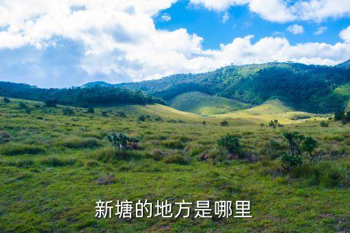 廣州增城區(qū)新塘鎮(zhèn)塘美一坊街，新塘的地方是哪里