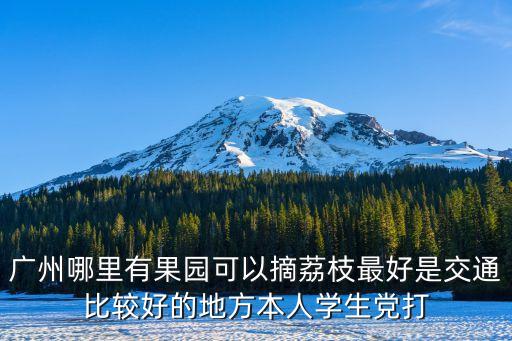 廣州哪里有三月紅荔枝摘，廣州哪里有果園可以摘荔枝最好是交通比較好的地方本人學生黨打