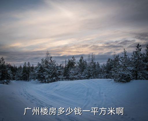 廣州錦鈺軒區最新房價，廣州樓房多少錢一平方米啊