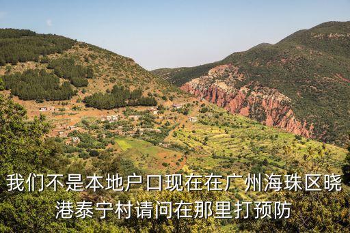 廣州外地人在哪里打疫苗，住廣州白云區馬務村外地過來的小盆友在哪打預防針呀