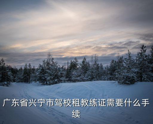 廣州興寧白佛寺，廣東省興寧市駕校租教練證需要什么手續