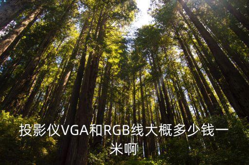 投影儀VGA和RGB線大概多少錢一米啊