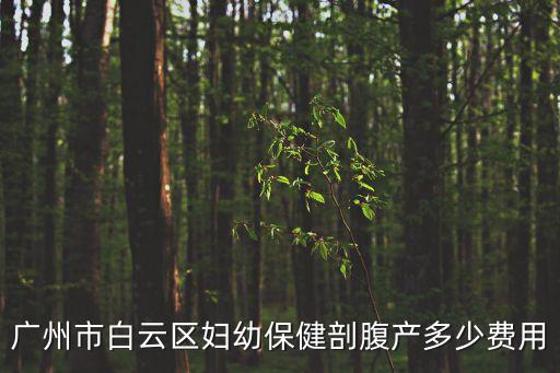 廣州白云區(qū)剖腹產(chǎn)多少錢(qián)，在白云區(qū)石井人民醫(yī)院生小孩要多少錢(qián)