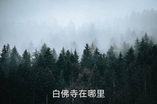 白佛寺在哪里