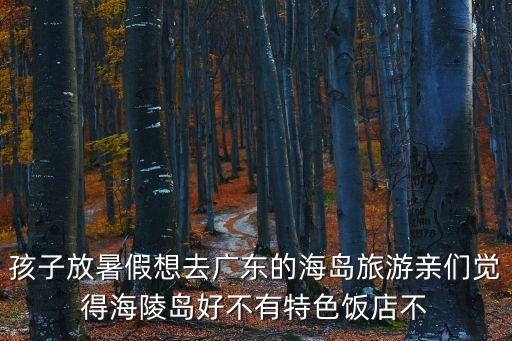 孩子放暑假想去廣東的海島旅游親們覺(jué)得海陵島好不有特色飯店不