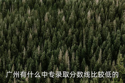 廣州有什么中專錄取分數線比較低的