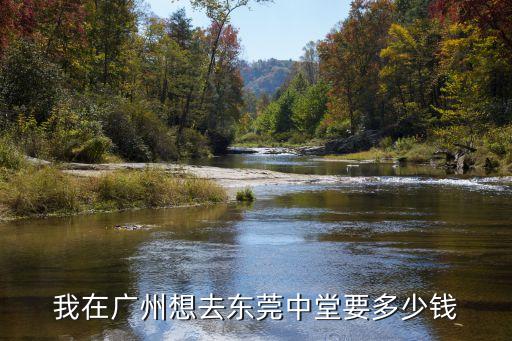 中堂輕軌到廣州東站多少元，中堂鎮怎樣乘車到廣州火車站急