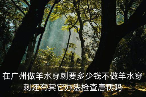 在廣州做羊水穿刺要多少錢不做羊水穿刺還有其它辦法檢查唐氏嗎