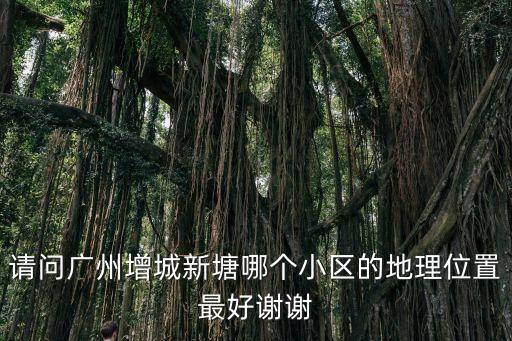 請問廣州增城新塘哪個小區的地理位置最好謝謝