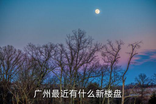 廣州最近有什么新樓盤