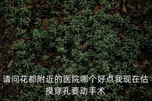 廣州花都醫院可以做羊水穿刺嗎，廣州孕前檢查項目花都區有沒有這樣的醫院