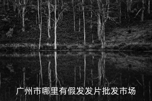 廣州哪有發片買，廣州哪里有發片賣