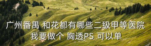 廣州番禺 和花都有哪些二級甲等醫院 我要做個 胸透PS 可以單