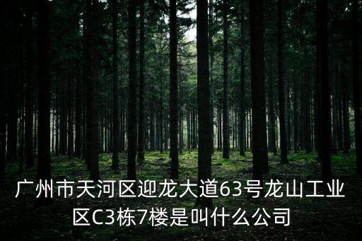 廣州市天河區迎龍大道63號龍山工業區C3棟7樓是叫什么公司