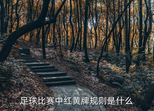 足球比賽中紅黃牌規(guī)則是什么
