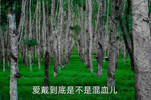 老梁說廣州樂壇，誰是粵語樂壇第一人