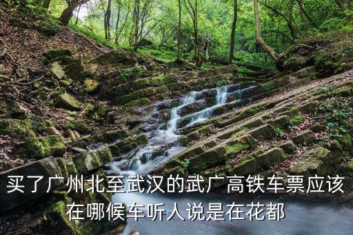 買了廣州北至武漢的武廣高鐵車票應該在哪候車聽人說是在花都
