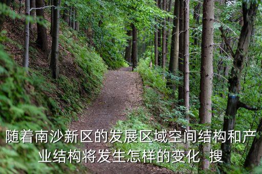 隨著南沙新區的發展區域空間結構和產業結構將發生怎樣的變化  搜