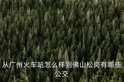 廣州火車站 大帥府，廣州火車站 終點站 的那個地方叫什么