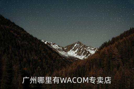 廣州wacom實體店，請問廣州哪里有WACOM的實體專賣店