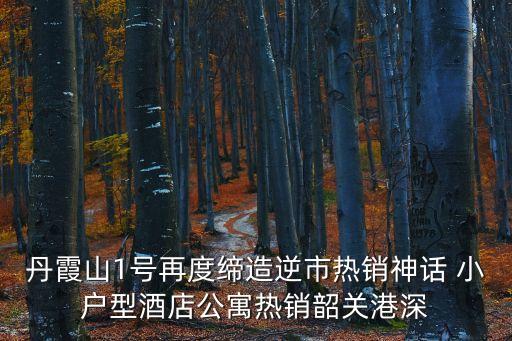 丹霞山1號再度締造逆市熱銷神話 小戶型酒店公寓熱銷韶關(guān)港深