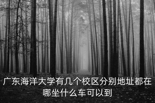 廣東海洋大學有幾個校區分別地址都在哪坐什么車可以到