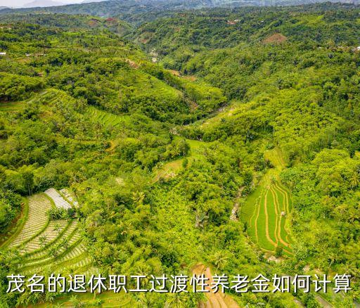 廣州退休人員回茂名養老金，廣東省茂名市的退休金每月是多少最低工資是多少
