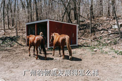 廣州的物流發展得怎么樣