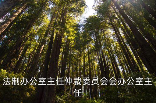 廣州仲裁委現(xiàn)任主任，仲裁委員會主任擔任仲裁員的決定主任的回避是什么意思呀