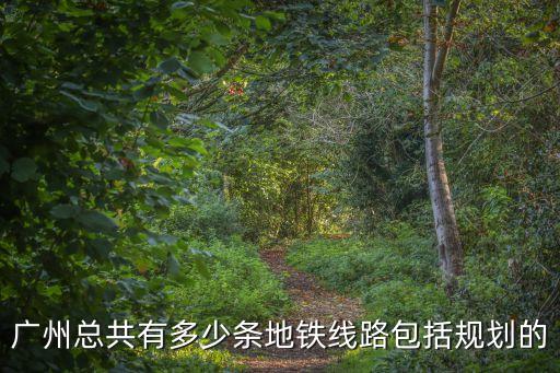廣州市區地鐵規劃，廣州打算建多少條地鐵的