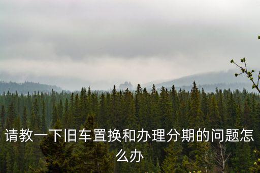 請教一下舊車置換和辦理分期的問題怎么辦