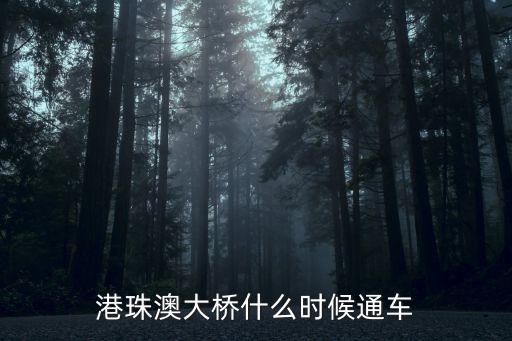 港珠澳大橋什么時候通車