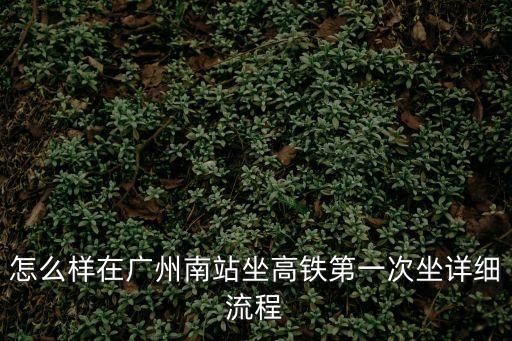 怎么樣在廣州南站坐高鐵第一次坐詳細流程