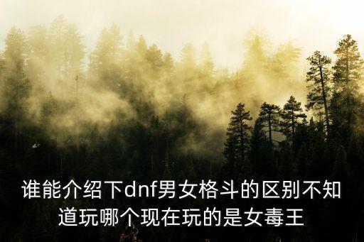 廣州版女毒王是謠言嗎，85版本女毒王好玩還是女武神好玩不是RMB玩家不過有時(shí)間玩