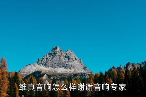 維真音響怎么樣謝謝音響專家