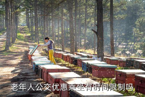 廣州市老年卡乘車時間，老年卡乘車有規定時間嗎