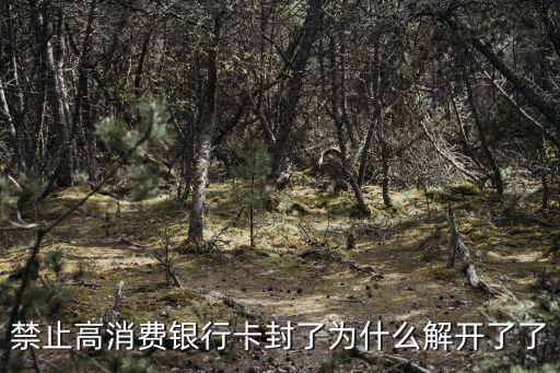 廣州南沙解封了高，廣州南沙區十年后將超過廣東哪個城市