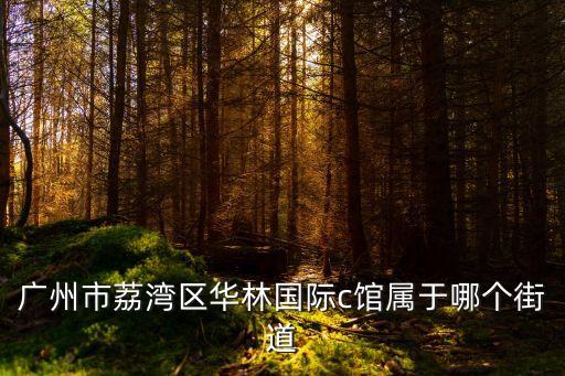 廣州市荔灣區華林國際c館屬于哪個街道