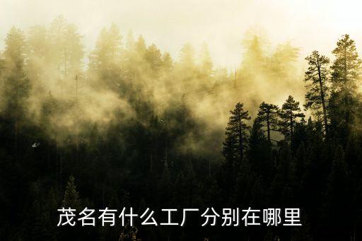 廣州茂名工廠，廣東茂名電白有什么工廠