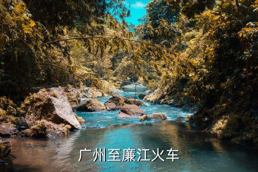 廣州到廉江有火車嗎，廣州湛江廉江有火車坐嗎大概多少錢在哪里坐