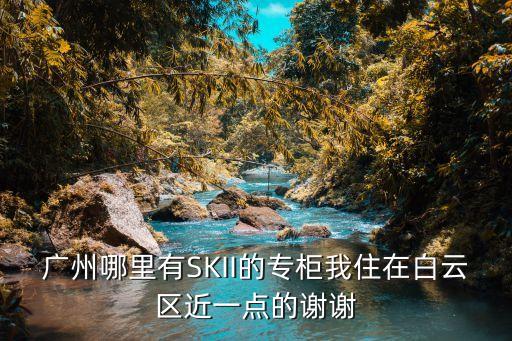 廣州哪里有SKII的專柜我住在白云區近一點的謝謝