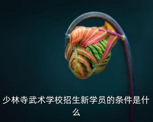 廣州少林武術學校招生條件，少林寺武術學校招生新學員的條件是什么